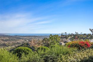Single Family Residence, 31232 Palma drive, Laguna Niguel, CA 92677 - 31