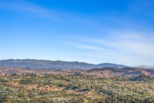 Single Family Residence, 31232 Palma drive, Laguna Niguel, CA 92677 - 33