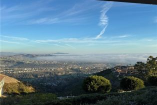 Single Family Residence, 31232 Palma drive, Laguna Niguel, CA 92677 - 38