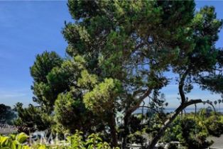 Single Family Residence, 251 Viejo st, Laguna Beach, CA 92651 - 30