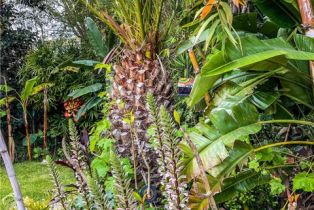 Single Family Residence, 30722 Marilyn dr, Laguna Beach, CA 92651 - 41