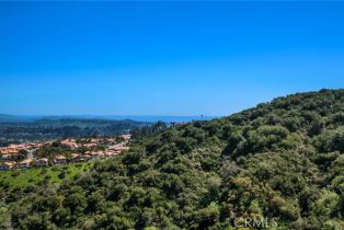 Single Family Residence, 50 Vista Montemar, Laguna Niguel, CA 92677 - 14