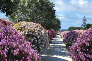 Single Family Residence, 33571 Binnacle dr, Dana Point, CA 92629 - 26