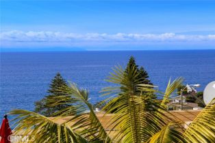 Residential Income, 2955 Terry rd, Laguna Beach, CA 92651 - 8