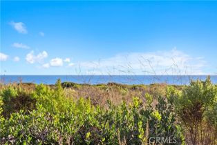Single Family Residence, 1 Giverny, Newport Coast, CA 92657 - 30