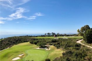 Single Family Residence, 1 Giverny, Newport Coast, CA 92657 - 31