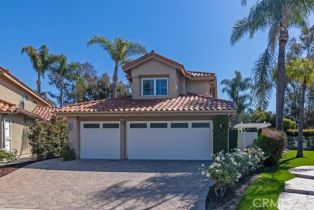 Single Family Residence, 4 Bastia, Laguna Niguel, CA 92677 - 43