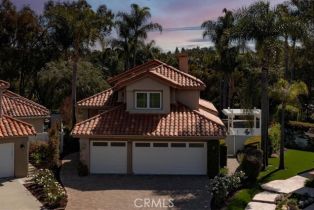Single Family Residence, 4 Bastia, Laguna Niguel, CA 92677 - 47