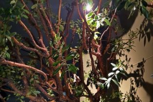 Apartment, 396 Cypress dr, Laguna Beach, CA 92651 - 21