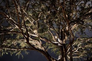 Apartment, 396 Cypress dr, Laguna Beach, CA 92651 - 22