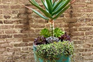 Apartment, 396 Cypress dr, Laguna Beach, CA 92651 - 28