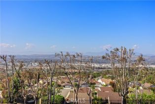 Single Family Residence, 3211 Mandeville pl, Orange, CA 92867 - 37