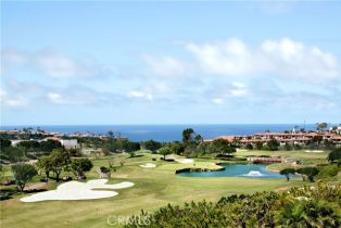 Single Family Residence, 33801 Shackleton, Dana Point, CA 92629 - 53