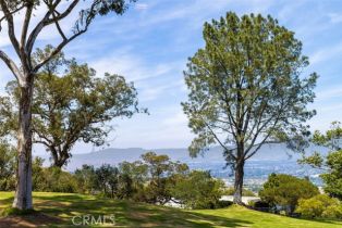 Single Family Residence, 21552 Treetop ln, Laguna Beach, CA 92651 - 32