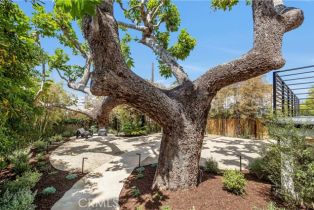 Single Family Residence, 1759 Glenneyre st, Laguna Beach, CA 92651 - 27