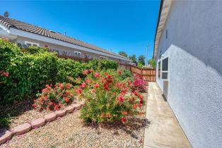 Single Family Residence, 973 Ferndale dr, Corona, CA 92881 - 25