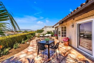 Single Family Residence, 24155 Vista D Onde, Dana Point, CA 92629 - 36