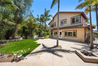 Single Family Residence, 21 Mykonos, Laguna Niguel, CA 92677 - 32