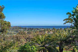 Single Family Residence, 30252 Sonrisa ln, Laguna Niguel, CA 92677 - 26