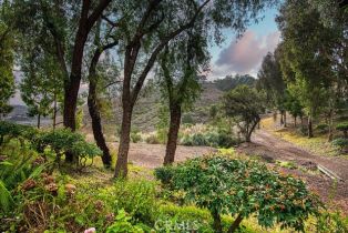 Condominium, 25536 Rue Terrase, Laguna Niguel, CA  Laguna Niguel, CA 92677