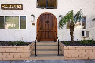 Condominium, 2175 Coast hwy, Laguna Beach, CA 92651 - 16