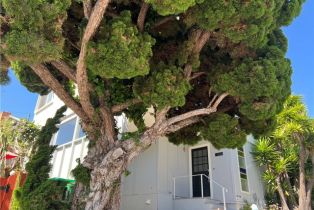 Single Family Residence, 31501 Burnside pl, Laguna Beach, CA 92651 - 2