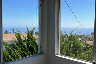 Single Family Residence, 31501 Burnside pl, Laguna Beach, CA 92651 - 5