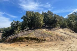 , 26915 Muutama ln, Valley Center, CA 92082 - 10