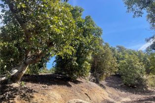 , 26915 Muutama ln, Valley Center, CA 92082 - 13