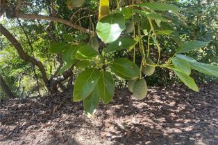 , 26915 Muutama ln, Valley Center, CA 92082 - 18