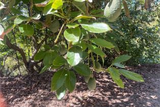 , 26915 Muutama ln, Valley Center, CA 92082 - 20