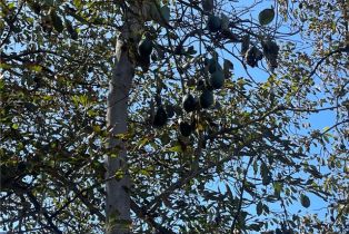 , 26915 Muutama ln, Valley Center, CA 92082 - 27