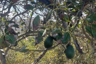 , 26915 Muutama ln, Valley Center, CA 92082 - 29