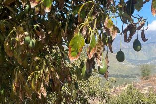 , 26915 Muutama ln, Valley Center, CA 92082 - 31