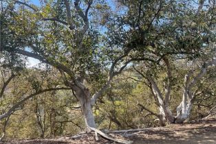 , 26915 Muutama ln, Valley Center, CA 92082 - 7