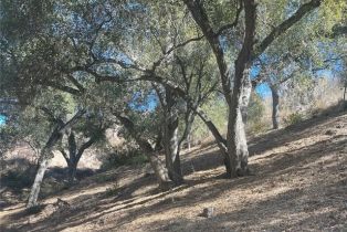 Land, 0 Stewart Canyon RD, Fallbrook, CA  Fallbrook, CA 92028