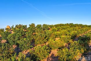 , 0 Stone Point, Murrieta, CA 92562 - 10