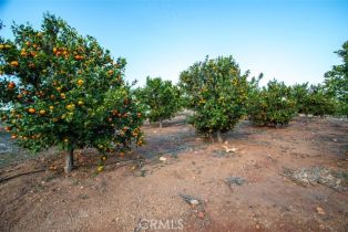 , 0 Stone Point, Murrieta, CA 92562 - 11