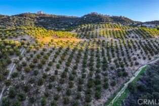 , 0 Stone Point, Murrieta, CA 92562 - 12