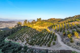 , 0 Stone Point, Murrieta, CA 92562 - 13