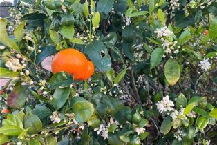 , 0 Stone Point, Murrieta, CA 92562 - 2