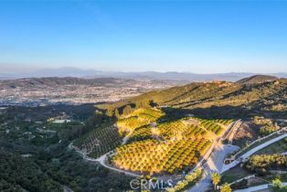 , 0 Stone Point, Murrieta, CA 92562 - 20