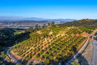 , 0 Stone Point, Murrieta, CA 92562 - 22