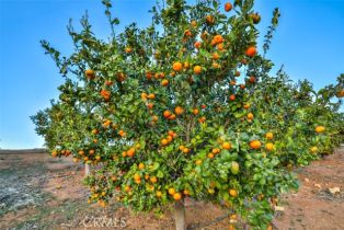 , 0 Stone Point, Murrieta, CA 92562 - 3