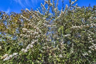 , 0 Avenida Escala, Murrieta, CA 92562 - 12