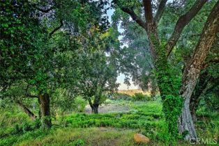 , 0 Avenida Escala, Murrieta, CA 92562 - 37