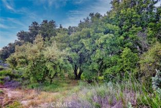 , 0 Avenida Escala, Murrieta, CA 92562 - 38