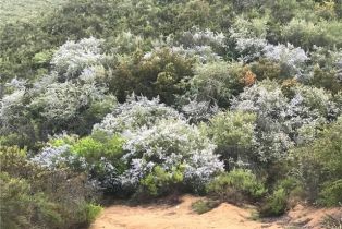 , 0 Avenida Escala, Murrieta, CA 92562 - 43