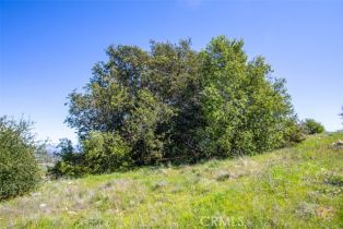 , 0 Avenida La Cresta, Murrieta, CA 92562 - 12