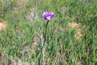 , 0 Avenida La Cresta, Murrieta, CA 92562 - 13